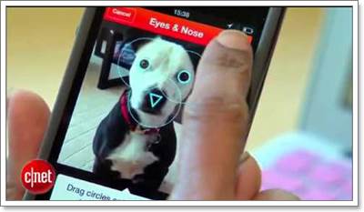 Dogilike.com :: Finding Rover ;पش µعѢ!