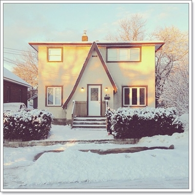 Dogilike.com :: หาให้เจอ! Momo สุนัขจอมซ่อนหา กลมกลืมไปกับสิ่งแวดล้อม Dogilike.com :: หาให้เจอ! Momo สุนัขจอมซ่อนหา กลมกลืมไปกับสิ่งแวดล้อม