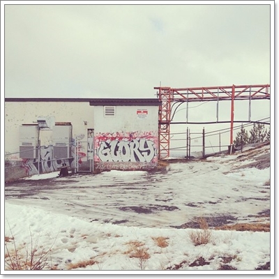 Dogilike.com :: หาให้เจอ! Momo สุนัขจอมซ่อนหา กลมกลืมไปกับสิ่งแวดล้อม Dogilike.com :: หาให้เจอ! Momo สุนัขจอมซ่อนหา กลมกลืมไปกับสิ่งแวดล้อม