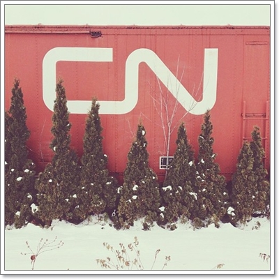 Dogilike.com :: หาให้เจอ! Momo สุนัขจอมซ่อนหา กลมกลืมไปกับสิ่งแวดล้อม Dogilike.com :: หาให้เจอ! Momo สุนัขจอมซ่อนหา กลมกลืมไปกับสิ่งแวดล้อม