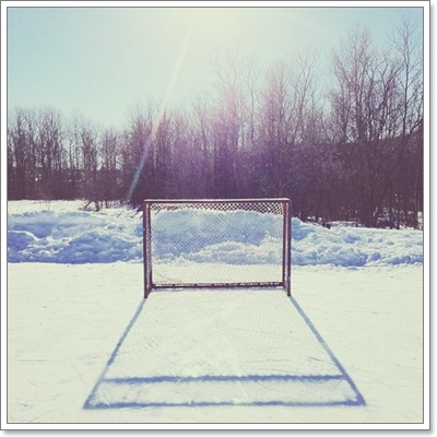 Dogilike.com :: หาให้เจอ! Momo สุนัขจอมซ่อนหา กลมกลืมไปกับสิ่งแวดล้อม Dogilike.com :: หาให้เจอ! Momo สุนัขจอมซ่อนหา กลมกลืมไปกับสิ่งแวดล้อม