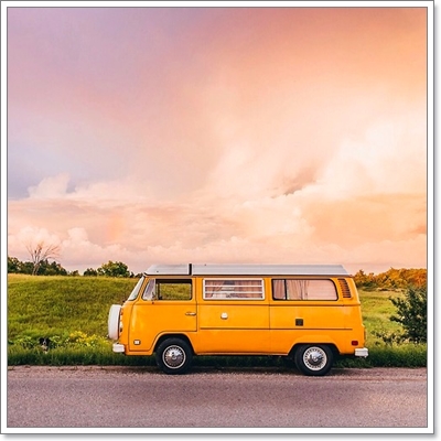 Dogilike.com :: หาให้เจอ! Momo สุนัขจอมซ่อนหา กลมกลืมไปกับสิ่งแวดล้อม Dogilike.com :: หาให้เจอ! Momo สุนัขจอมซ่อนหา กลมกลืมไปกับสิ่งแวดล้อม