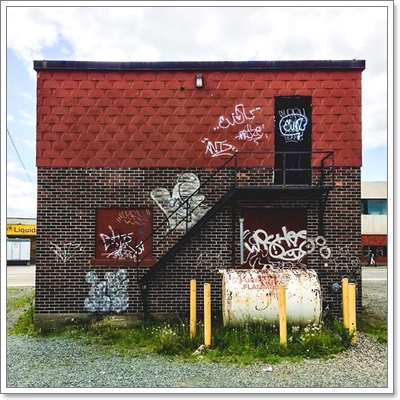 Dogilike.com :: หาให้เจอ! Momo สุนัขจอมซ่อนหา กลมกลืมไปกับสิ่งแวดล้อม Dogilike.com :: หาให้เจอ! Momo สุนัขจอมซ่อนหา กลมกลืมไปกับสิ่งแวดล้อม