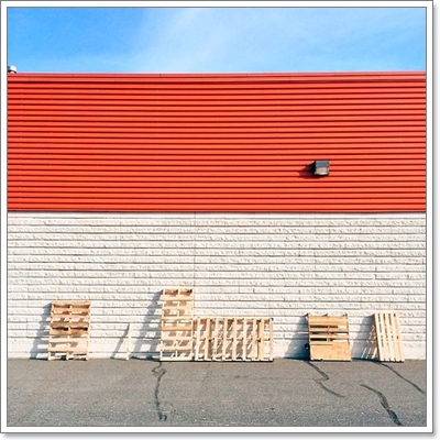 Dogilike.com :: หาให้เจอ! Momo สุนัขจอมซ่อนหา กลมกลืมไปกับสิ่งแวดล้อม Dogilike.com :: หาให้เจอ! Momo สุนัขจอมซ่อนหา กลมกลืมไปกับสิ่งแวดล้อม