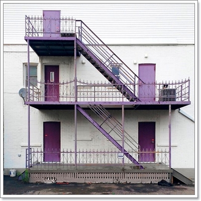 Dogilike.com :: หาให้เจอ! Momo สุนัขจอมซ่อนหา กลมกลืมไปกับสิ่งแวดล้อม Dogilike.com :: หาให้เจอ! Momo สุนัขจอมซ่อนหา กลมกลืมไปกับสิ่งแวดล้อม