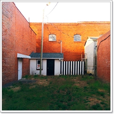 Dogilike.com :: หาให้เจอ! Momo สุนัขจอมซ่อนหา กลมกลืมไปกับสิ่งแวดล้อม Dogilike.com :: หาให้เจอ! Momo สุนัขจอมซ่อนหา กลมกลืมไปกับสิ่งแวดล้อม