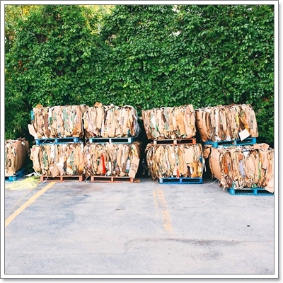 Dogilike.com :: หาให้เจอ! Momo สุนัขจอมซ่อนหา กลมกลืมไปกับสิ่งแวดล้อม Dogilike.com :: หาให้เจอ! Momo สุนัขจอมซ่อนหา กลมกลืมไปกับสิ่งแวดล้อม