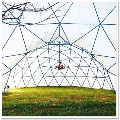 Dogilike.com :: หาให้เจอ! Momo สุนัขจอมซ่อนหา กลมกลืมไปกับสิ่งแวดล้อม Dogilike.com :: หาให้เจอ! Momo สุนัขจอมซ่อนหา กลมกลืมไปกับสิ่งแวดล้อม