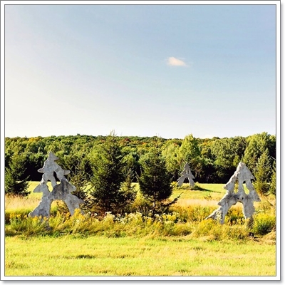 Dogilike.com :: หาให้เจอ! Momo สุนัขจอมซ่อนหา กลมกลืมไปกับสิ่งแวดล้อม Dogilike.com :: หาให้เจอ! Momo สุนัขจอมซ่อนหา กลมกลืมไปกับสิ่งแวดล้อม