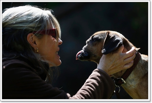 Dogilike.com :: ү! عѢʹѧ١Ңͧմѹ˹