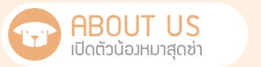 นัองหมา, สุนัข, น่ารัก, การดูแล,เทคนิคการเลี้ยงดู, Pen_paint Chi, Chihuahua, ชิวาวา, ท่ีนอน, dog of the week 108