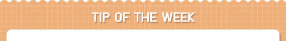 นัองหมา, สุนัข, น่ารัก, การดูแล,เทคนิคการเลี้ยงดู, Pen_paint Chi, Chihuahua, ชิวาวา, ท่ีนอน, dog of the week 108