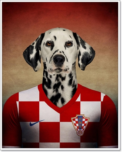 Dogilike.com :: Ҿ¹ͧҡѺشѡ World Cup