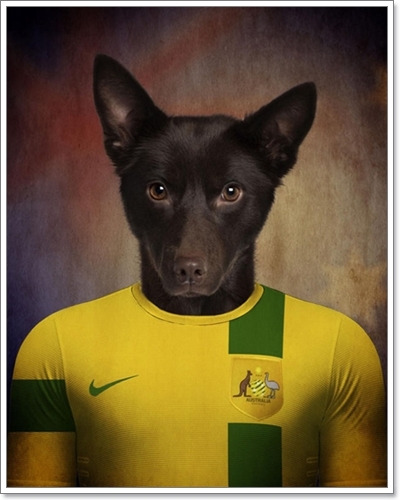 Dogilike.com :: Ҿ¹ͧҡѺشѡ World Cup