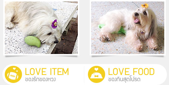 ͧ, عѢ, ѡ, ô,෤Ԥ§,١,Popular Vote,͹,LOVE & SHARE, ¹ Blog ,dog of the week 114