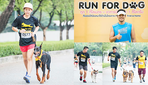 run, run for dog, dog, pedigree,dogilike, , ͧʹ, find a home,عѢ, Ҹ͹, ͧ,Һҹ, ػ عѢ, ҹѡ, , , ҡȡԨ, ҡ