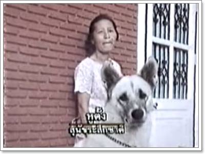 Dogilike.com :: ͹ʹյѺͧǢͧ ٵ ͧ֡ҵ!