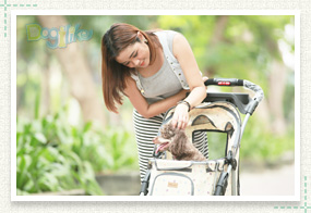 รถเข็นน้องหมา, ibiyaya, ไอบิยาย่า, รถเข็นคุณภาพดี, แข็งแรงทนทาน, กระเป๋าน้องหมา, สีสันสวยงาม