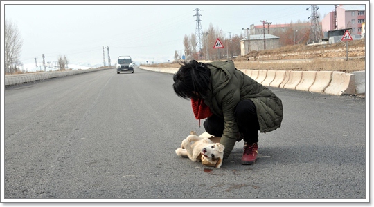 Dogilike.com :: 4 觷褹ѡͧҵͧ ͤԴЪ¹ͧҶ١ö