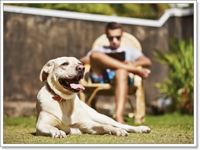 Dogilike.com :: ҧ ͷҹҡ§ͧ