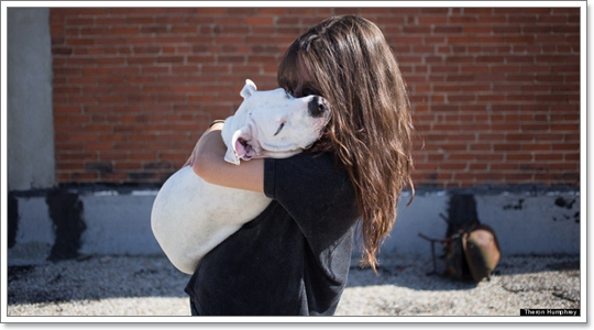 Dogilike.com :: ҧ ͷҹҡ§ͧ