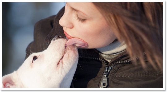 Dogilike.com :: 13 觷§ͧҷǤҨѺ