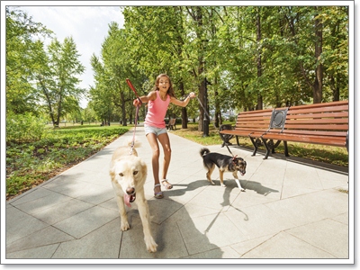 Dogilike.com :: 13 觷§ͧҷǤҨѺ