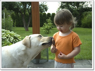 Dogilike.com :: 13 觷§ͧҷǤҨѺ