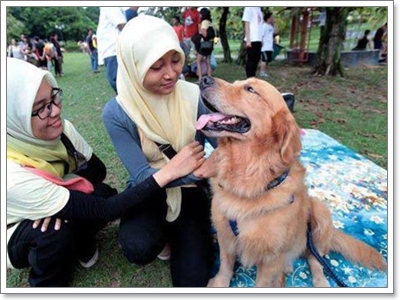 Dogilike.com :: สุดยอดเทคนิค พิชิตใจน้องหมาให้ตกหลุมรักเราตั้งแต่แรกพบ