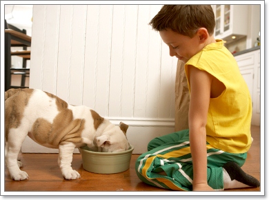 Dogilike.com :: 硡ѹ! سͼ§Ẻ˹? 㨹ͧ
