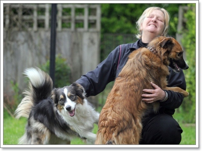 Dogilike.com :: 硡ѹ! سͼ§Ẻ˹? 㨹ͧ