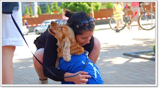 Dogilike.com :: 硡ѹ! سͼ§Ẻ˹? 㨹ͧ