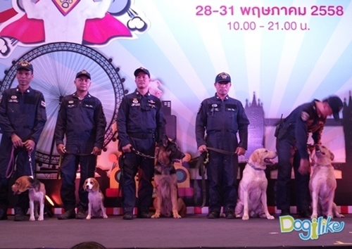 Dogilike.com :: Dogilike Ǿҷ PET EXPO 2015 ͹ 1