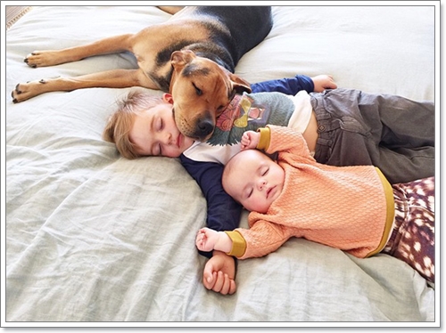 Dogilike.com :: 繴! Ҿ 2 ˹ٹ¹͹Ѻ¡Ѻҵٺ
