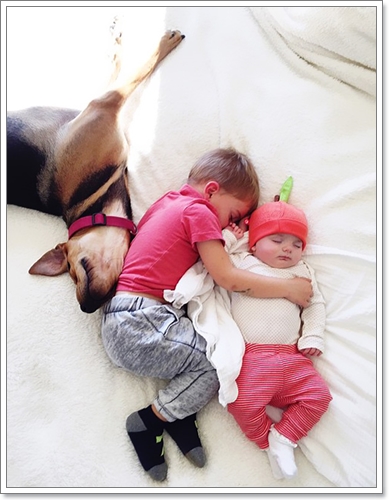 Dogilike.com :: 繴! Ҿ 2 ˹ٹ¹͹Ѻ¡Ѻҵٺ