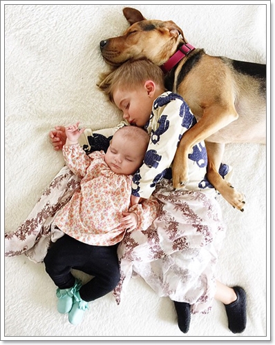 Dogilike.com :: 繴! Ҿ 2 ˹ٹ¹͹Ѻ¡Ѻҵٺ