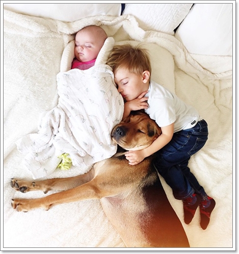 Dogilike.com :: 繴! Ҿ 2 ˹ٹ¹͹Ѻ¡Ѻҵٺ