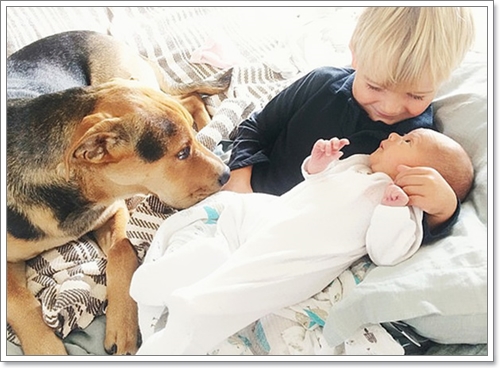 Dogilike.com :: 繴! Ҿ 2 ˹ٹ¹͹Ѻ¡Ѻҵٺ
