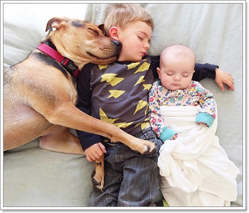 Dogilike.com :: 繴! Ҿ 2 ˹ٹ¹͹Ѻ¡Ѻҵٺ