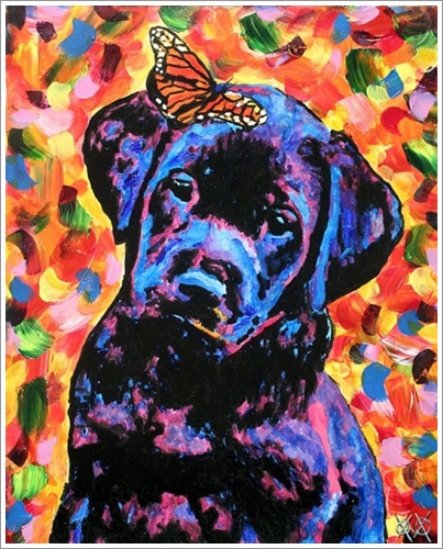 Dogilike.com :: ǢմӡѴ! µҺʹҴҾعѢ ҧçѹ㹡ժԵ