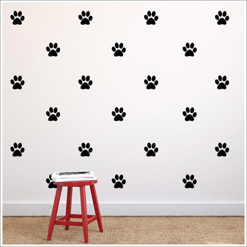 Dogilike.com :: 21 觢ͧشѡ褹ѡǵͧҡ㹤ͺͧ