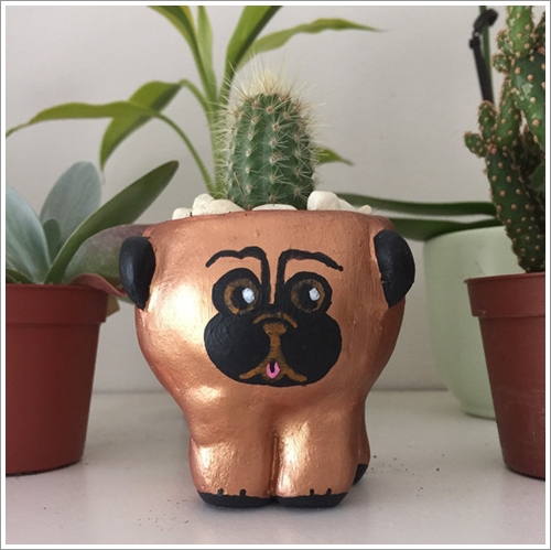 Dogilike.com :: 21 觢ͧشѡ褹ѡǵͧҡ㹤ͺͧ