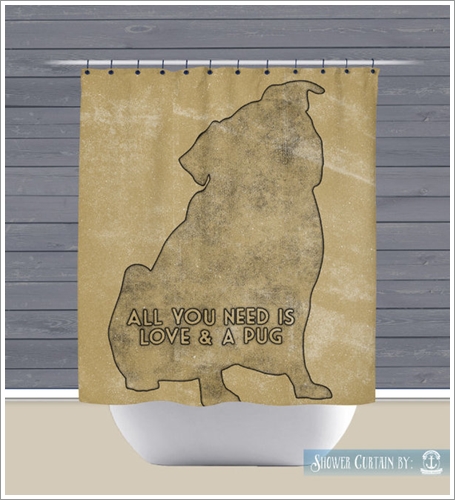 Dogilike.com :: 21 觢ͧشѡ褹ѡǵͧҡ㹤ͺͧ