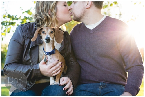 Dogilike.com :: ! ͵ٺʺ觫չҾ¾Ǵ駢ͧҢͧ