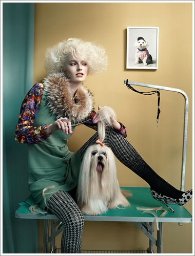 Dogilike.com :: »ѧ! ͹ͧῪ㹹Ե Glamour Ե