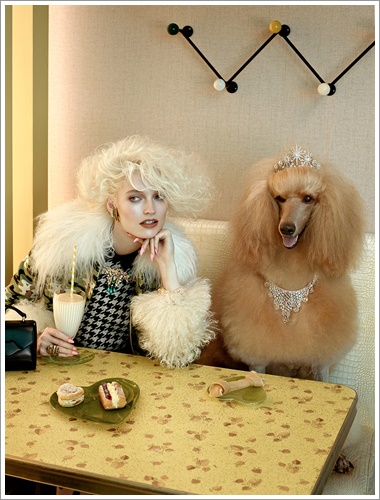 Dogilike.com :: »ѧ! ͹ͧῪ㹹Ե Glamour Ե