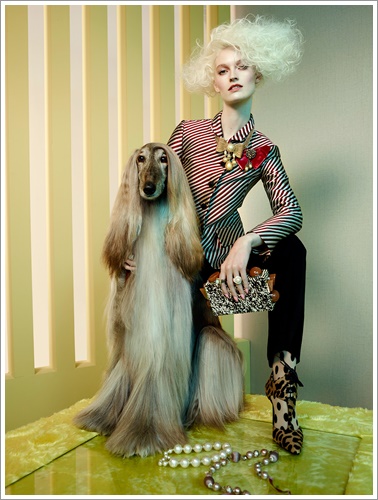 Dogilike.com :: »ѧ! ͹ͧῪ㹹Ե Glamour Ե