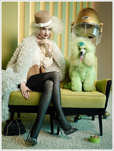Dogilike.com :: »ѧ! ͹ͧῪ㹹Ե Glamour Ե