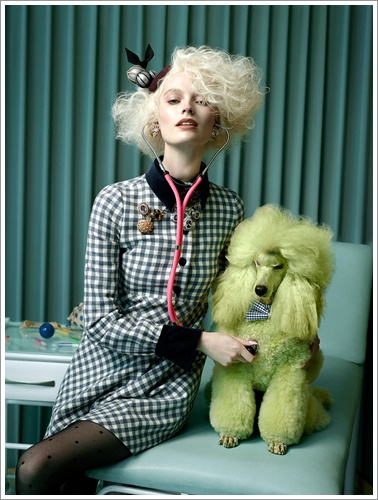 Dogilike.com :: »ѧ! ͹ͧῪ㹹Ե Glamour Ե