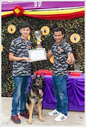 Dogilike.com :: ʹ! Ҿ觢ѹعѢѡдѺҹҪҵԻ 2015